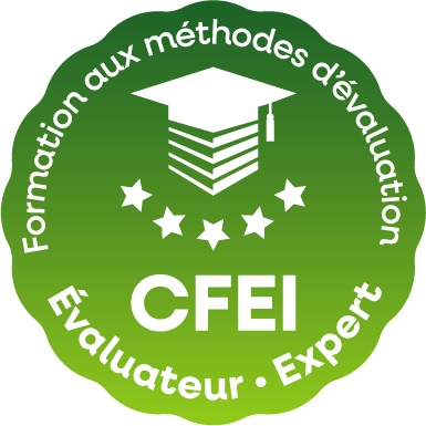 Logo CFEI
